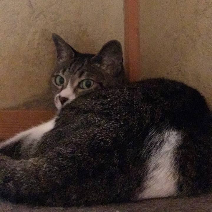 D3522625 4e67 40ae 8739 55f633c94279