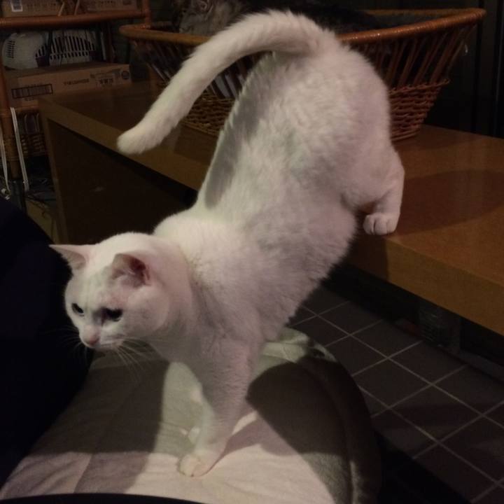 D3527fad a3f2 417b 879f 822330bb5ced