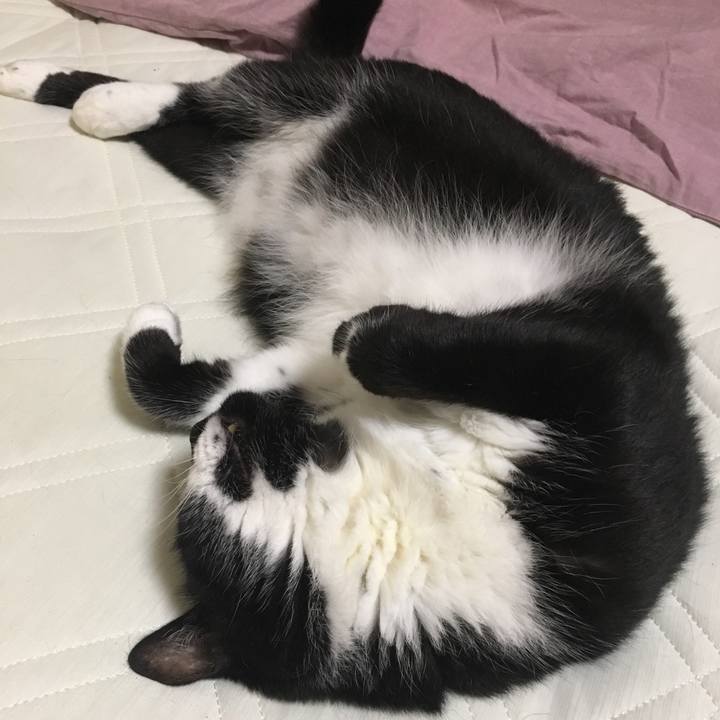 D3528228 54f2 48a8 89cc 0994eefc8c11