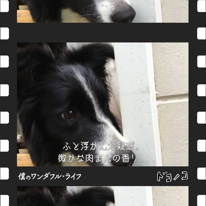 D352c858 f0b1 402b a0e0 c3e1e4d0b28a