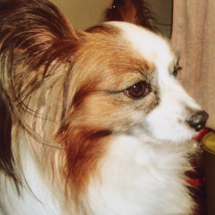 D3532369 e8f3 43b4 8ba0 6498777d60ab