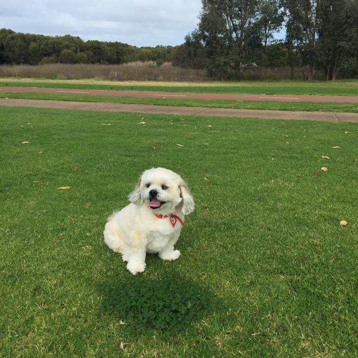 D3539285 6fc3 47ed 9873 4ffe66bcbf8c