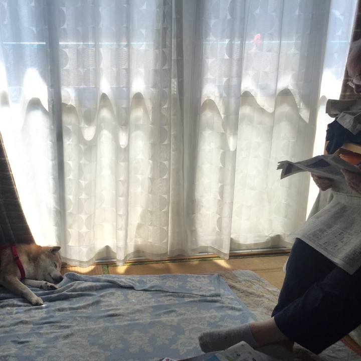 D353e901 cc7e 43c6 b2dc 9906546009a6