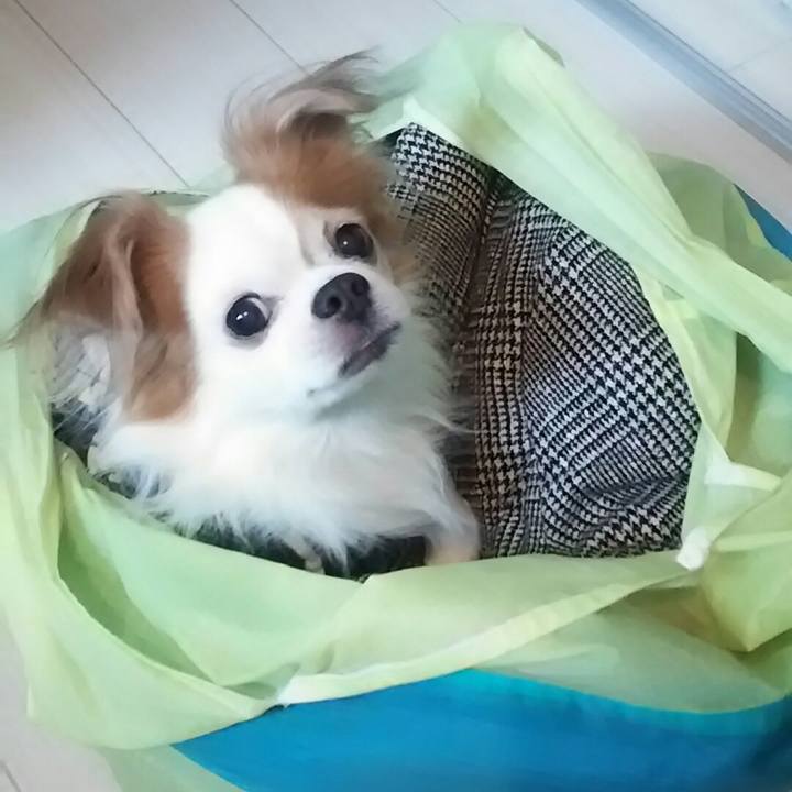 D35493fd 3193 41f6 ab21 56d50e128a52