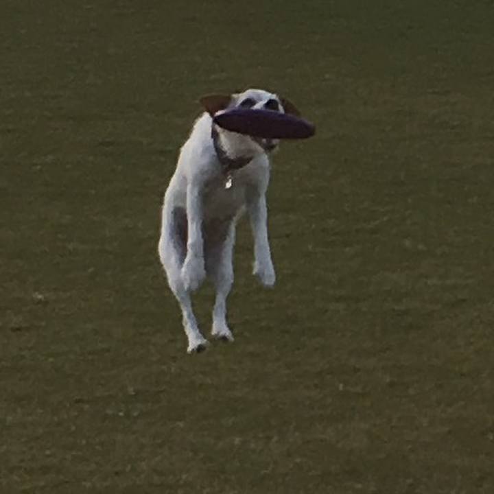 D35605da 88e2 4452 9ad7 400681b48739