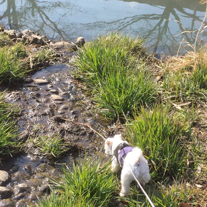 D356d030 4209 4d5e b1b5 d21b6edb239f