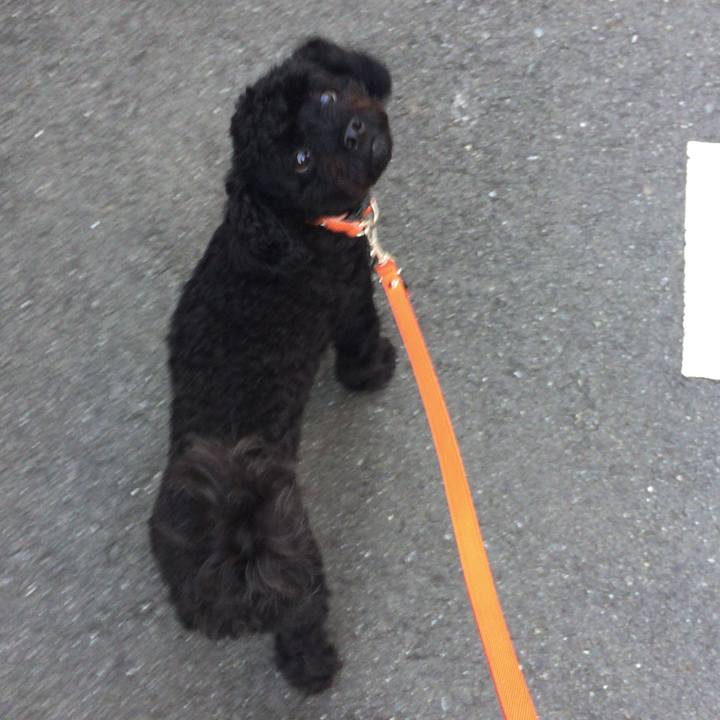 D3572a75 5b21 4cd1 95b1 6218b83f8425