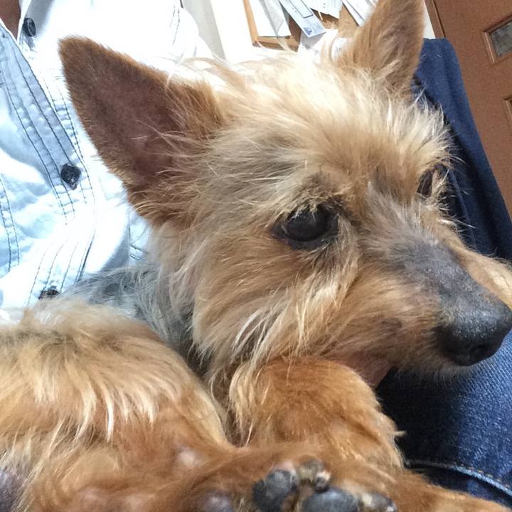 D357b652 eda6 418c 9908 abc15679655a