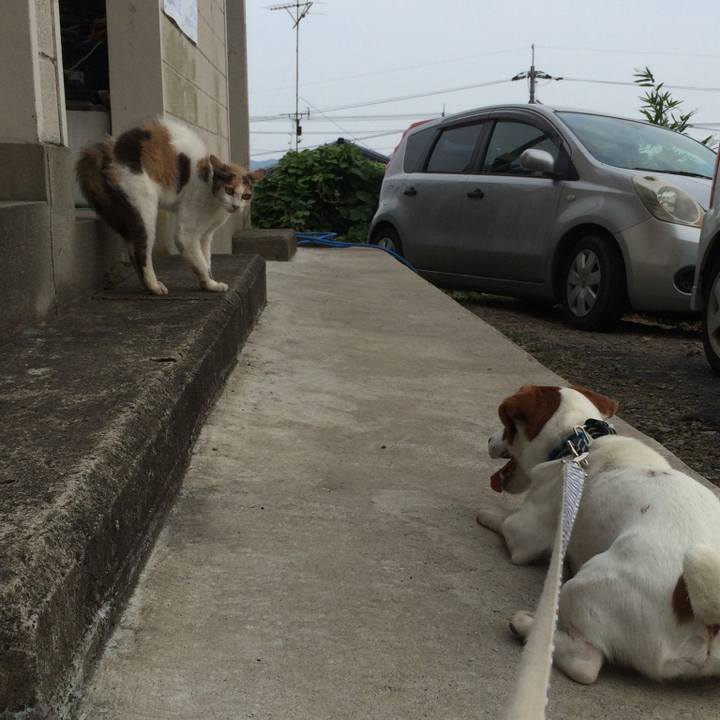 D3596b4a b3ae 4365 bd42 8b134fe5b4d2