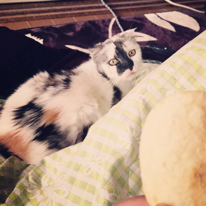 D359c5f3 c48c 4229 b870 34f051cac802