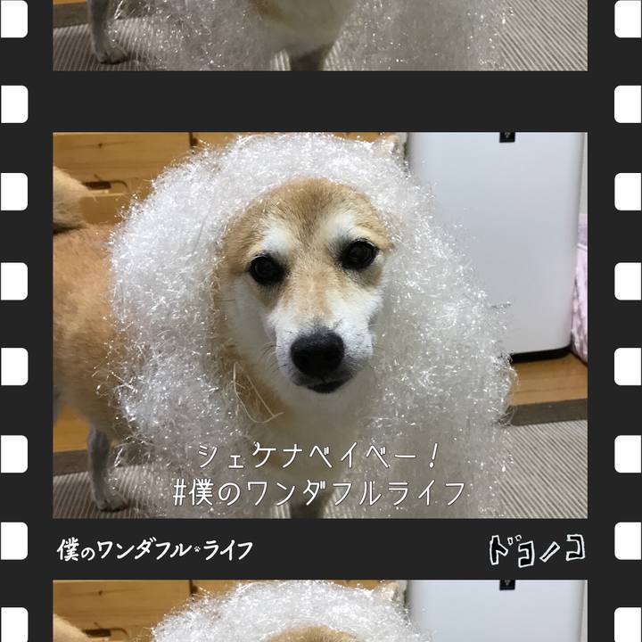 D359d8fd f74f 4a41 bbc6 2cc85a2f7e80