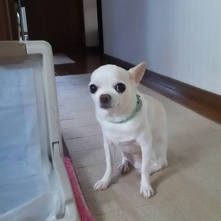 D35a7820 0f1e 4bea ad9a 765940d11ec8