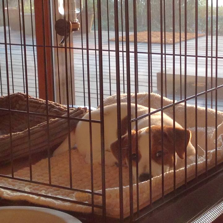 D35a86f4 cba1 4e6c ae8d 30a21367bfef