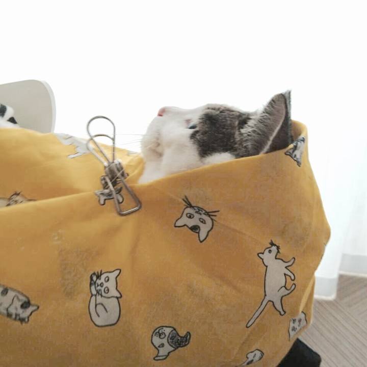 D35adc61 b327 4b3b 8db3 1ebdff912a6d