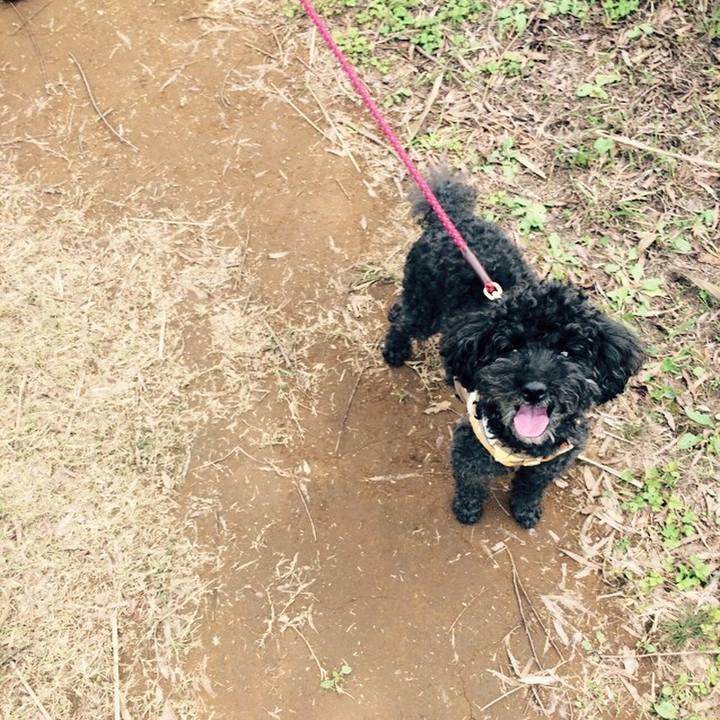 D35af2a6 d6a1 46b8 b9ef 14c11d028c07