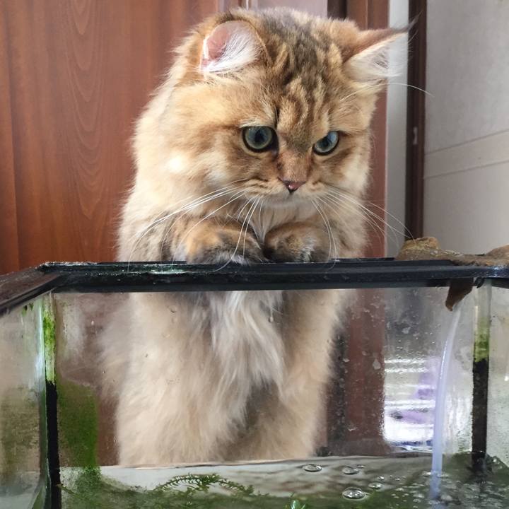 D35b9454 cbf6 4129 a7f7 fb4e7df17f62