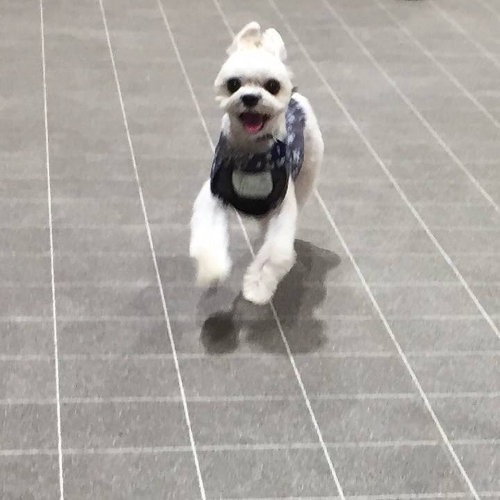 D35be9f3 74aa 409b ab8e be82fc4e1306