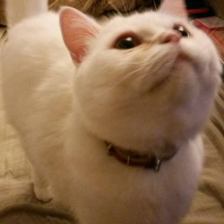 D35bfe15 5682 46db 871d 326e6f43faba