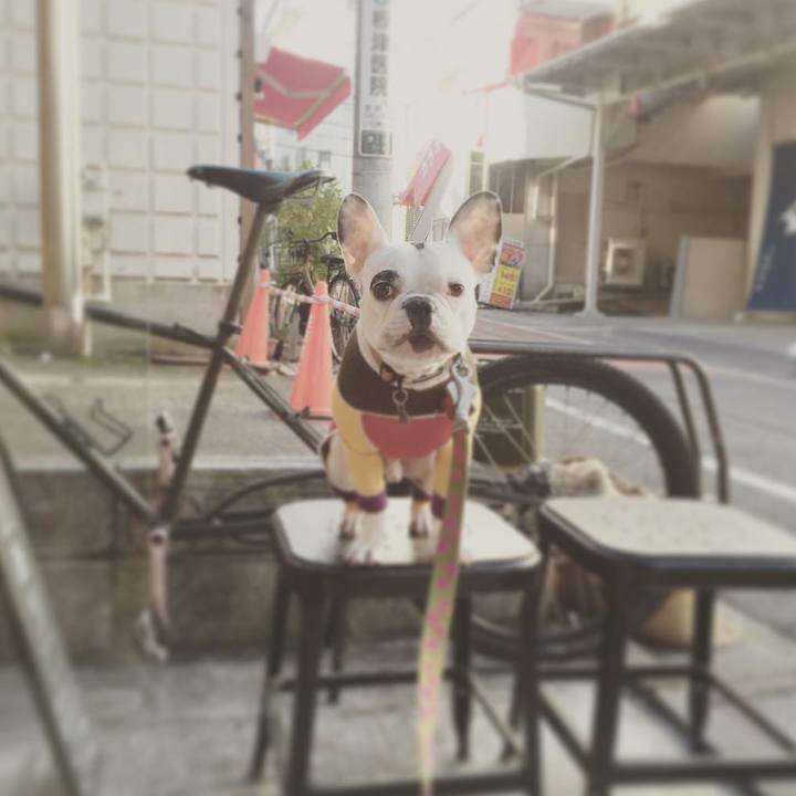 D35c1728 ed5d 4a32 9b8a 953619027622