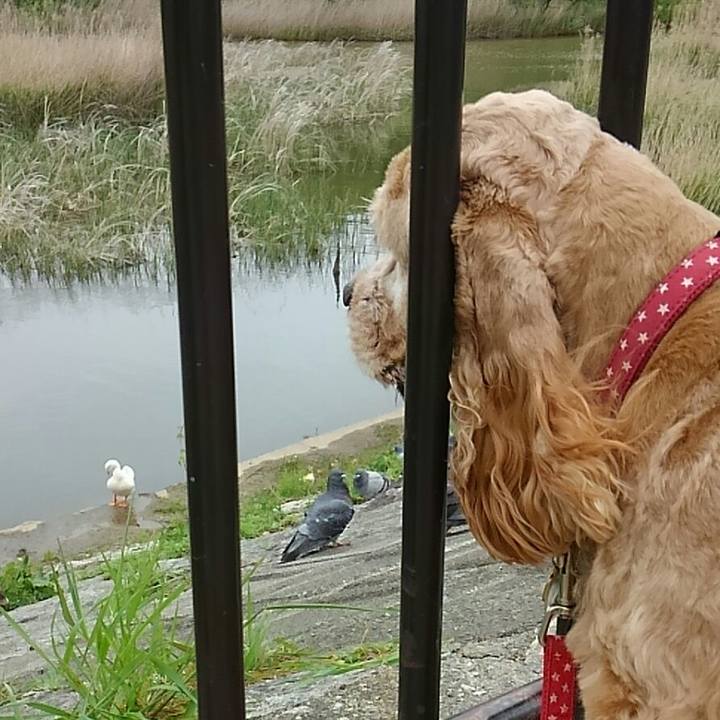 D35c4af8 be1f 435e bd4a f9039a37203c