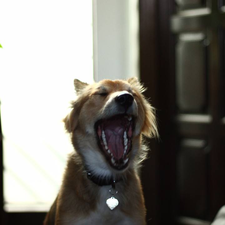 D35c825b 6e2c 4f83 bcd8 a7c3be1c4c7b