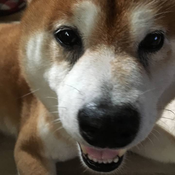 D35d9cec 4d9e 4910 8e2f f3234c22c5e3