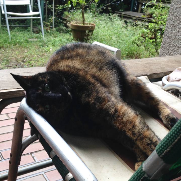 D35da96d 98e6 4574 a4c2 7e97bbdd500f