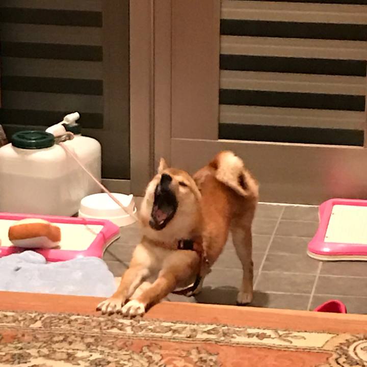 D35db31d f88e 45b9 a1c0 e192ac29dd49