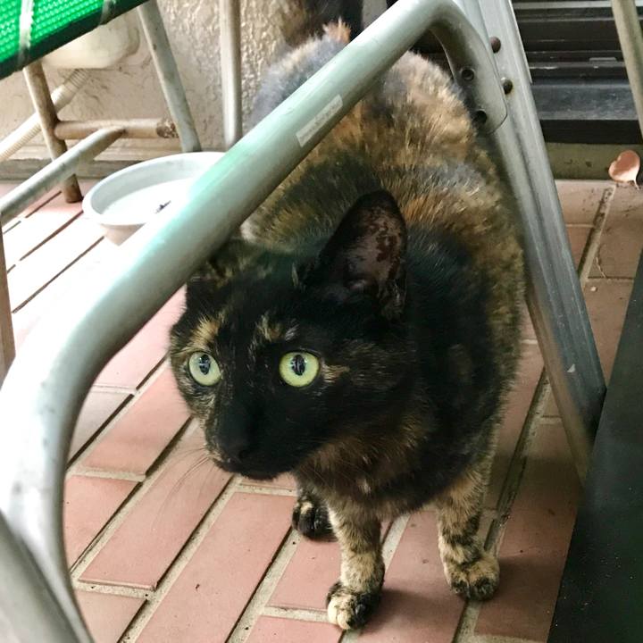 D35dedf0 9463 48f3 9061 b7ca37ca7c2d