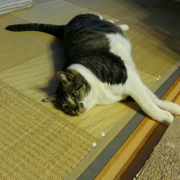 D35e8629 6907 41b8 a9b3 66135a8bff8b