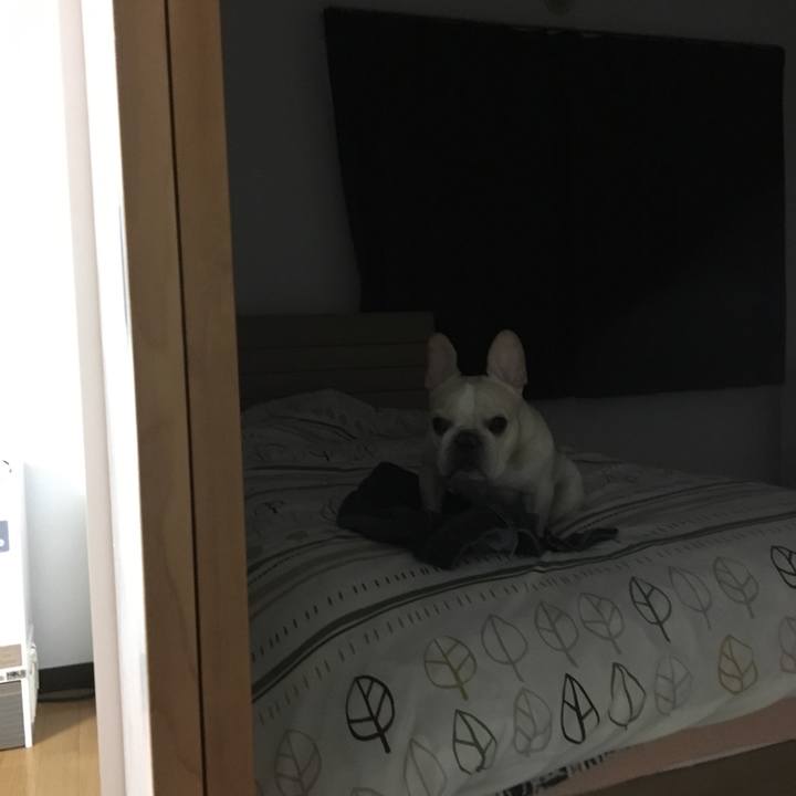 D35f4cd0 ec19 4a99 a18d 598c6fa5aec8