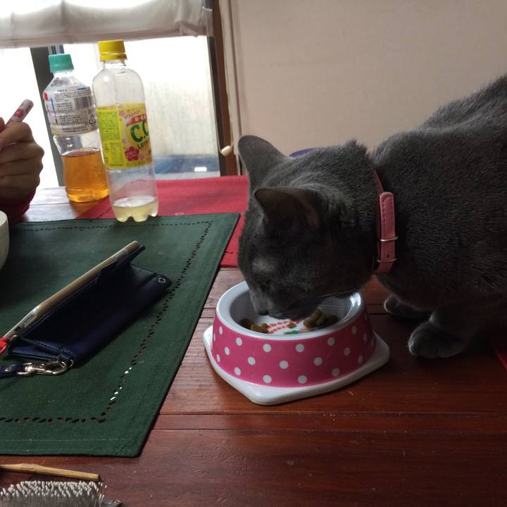 D3604f27 3c62 47bf 8a95 56f459d1caab