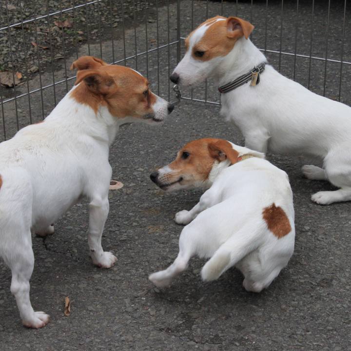 D360a299 a647 4c4b 936e 84b6b97be400