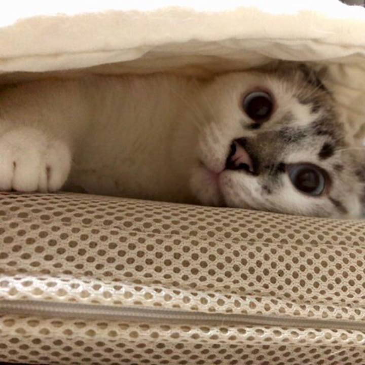 D360bb51 d2bf 4a12 b4a9 ce8bad656eea