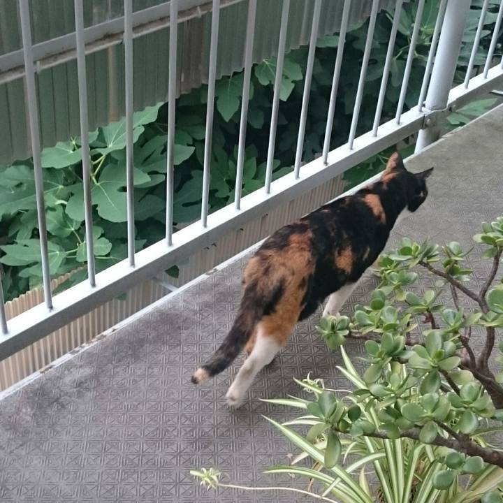 D36193f0 894a 42ed a733 0dd605550a56