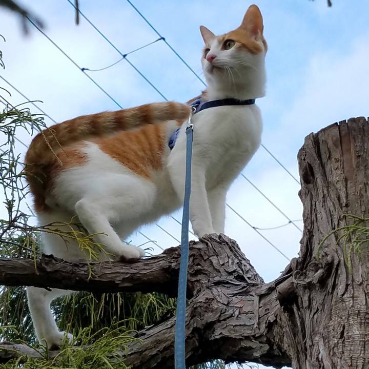 D361a5c0 f80a 41ab 9739 d04a229edc2e