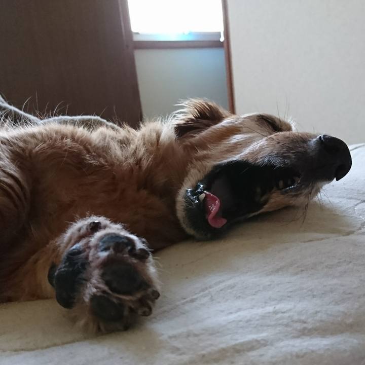 D361b561 9148 470f b045 ce28782bfc77