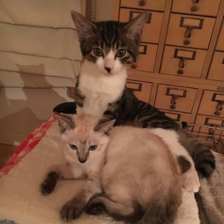 D361c909 7738 4809 8cb1 340cdf34d941