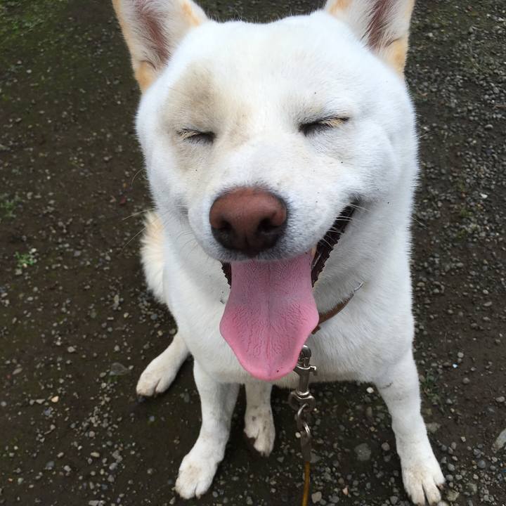 D36223b1 c393 4f76 92cd b225e83c296d