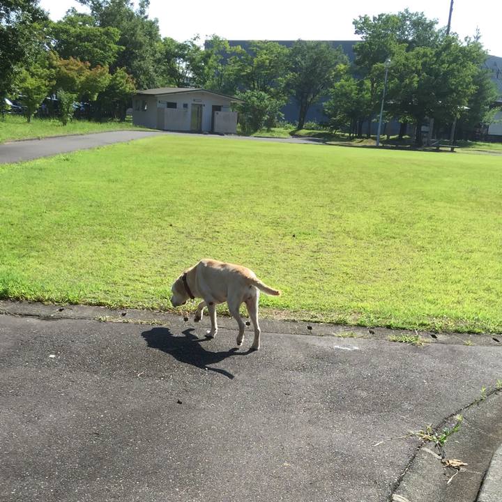 D3622640 13ca 4645 a5a0 5a1ad45ab8c7