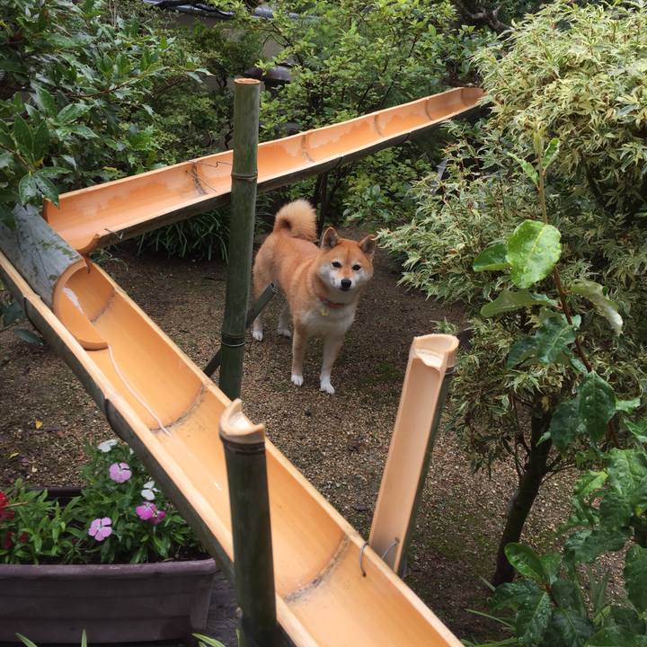 D36243eb 4fbd 4eb0 802c 226b4fd490e9