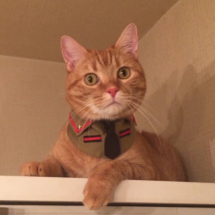 D3629a69 e7d7 45bd a826 312d11e36d0f