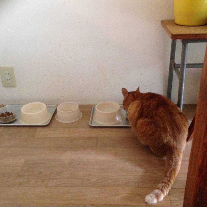 D36304ba 1e8f 4b39 a553 e0a82399e07a