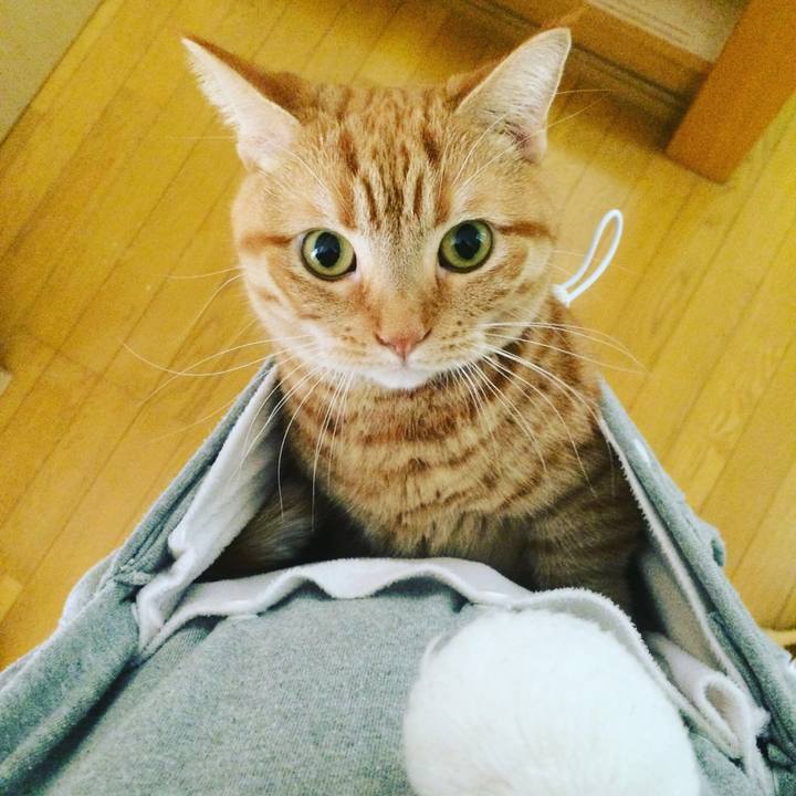 D3634530 4854 41c3 8574 c05d2d81e28e