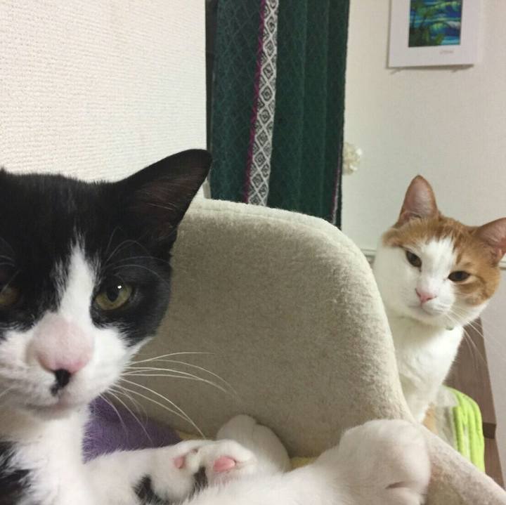 D36348bf 09b4 4fca 84d9 94098e574f19