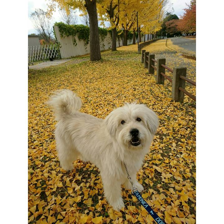 D3634a03 02e3 4954 9762 71fb6f0df242