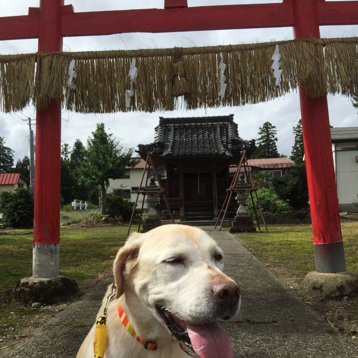 D3642c5b 4b95 4504 8bf8 a50e44dfc6c6