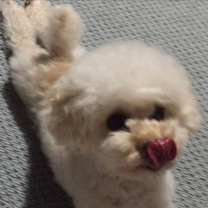 D364919f eb5d 4d3c ad79 9824ecd85fe7