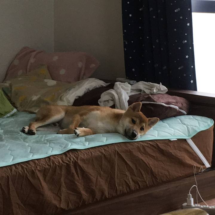 D364b44a 6ec1 4541 b313 861d2293b14a