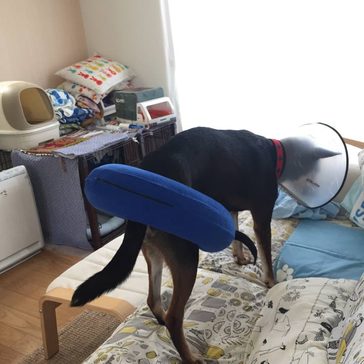 D364d7a4 5d1e 4453 8be2 4dba91b592f0